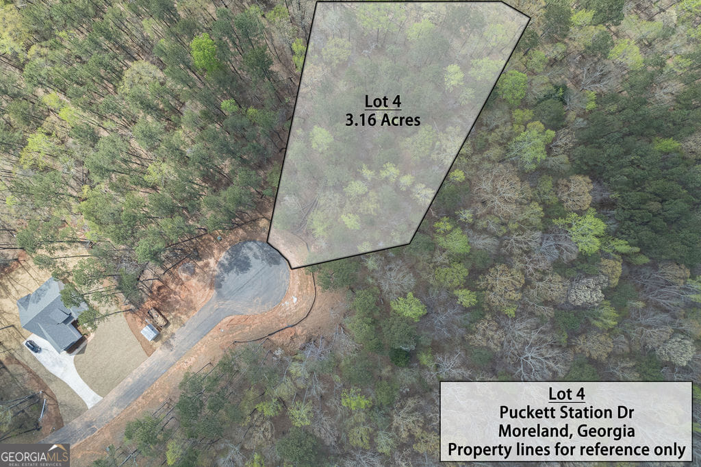 4 Puckett Station Drive, Moreland, GA, 30259