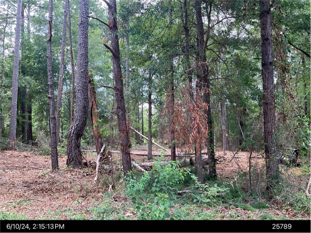 2707 Somerset Drive, Albany, GA, 31721