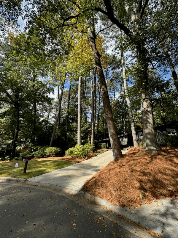 860 Armand Court, Atlanta, GA, 30324