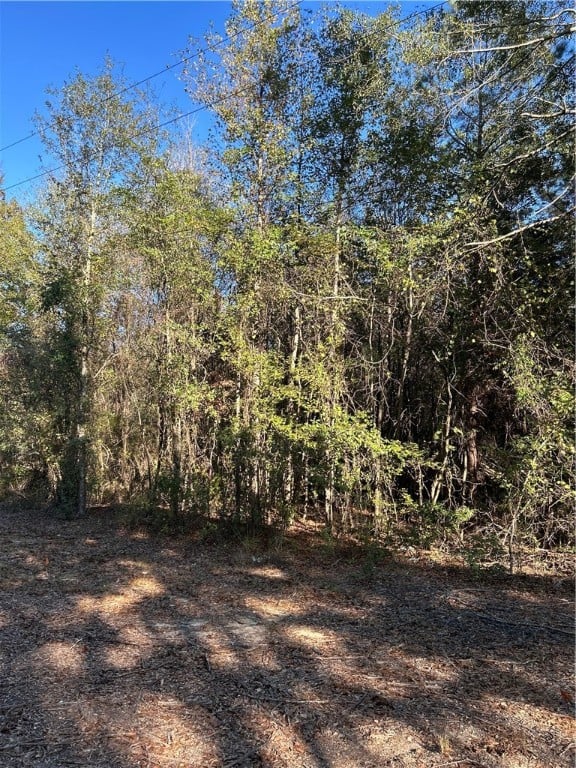 0 Co Rd 004, Auburn, AL 36832