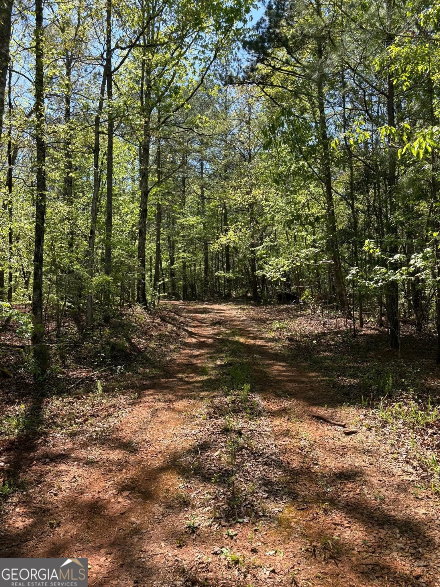 0 OFF North Taylor, Woodland, GA, 31836