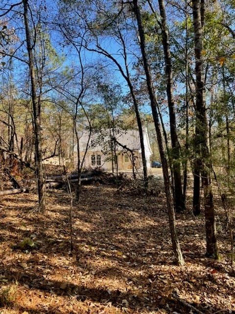 1017 LEE ROAD 126, Salem, AL, 36874 — Photo 3