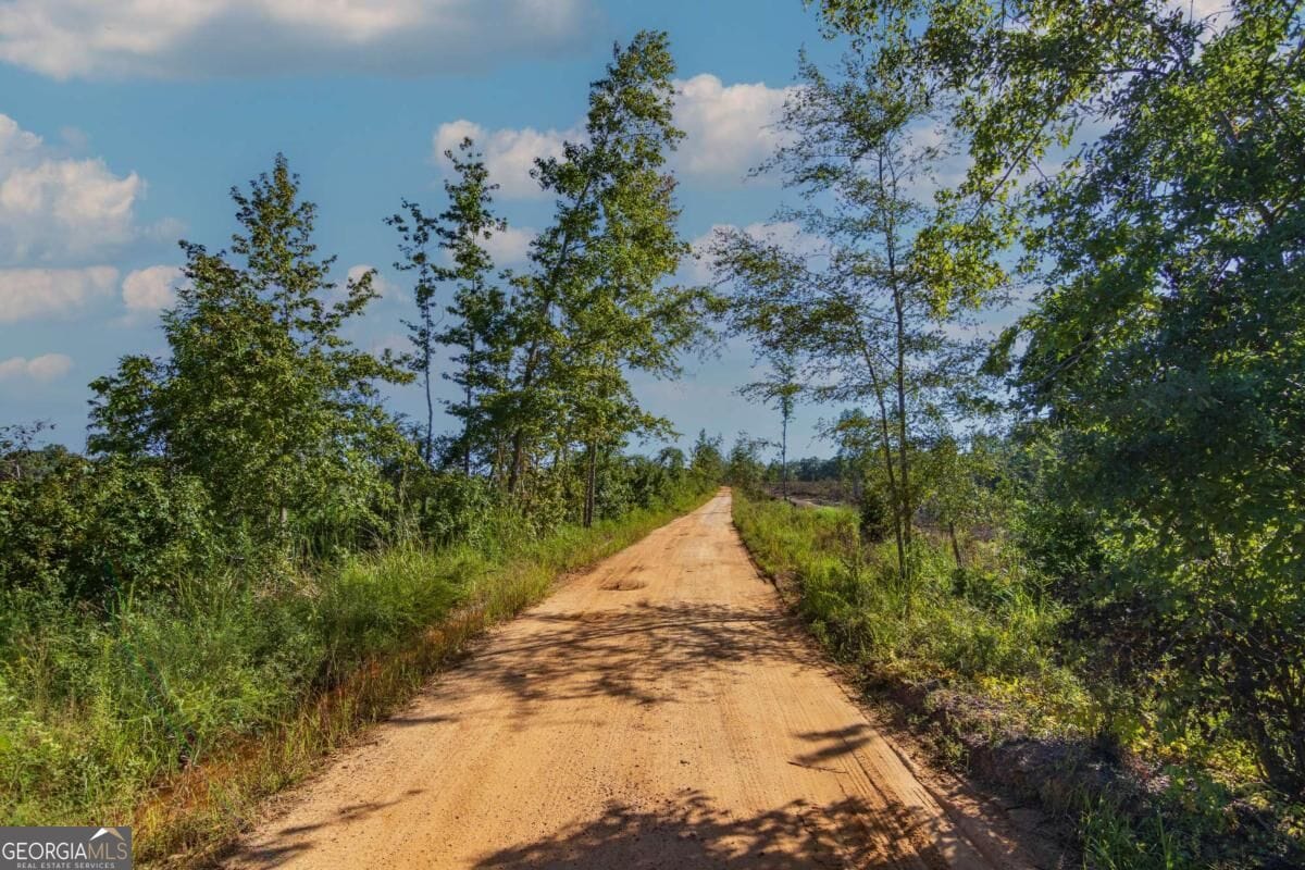 TRACT 5 Carlisle Gap, Woodland, GA, 31836