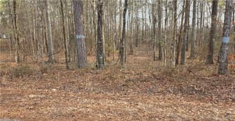 0 Lee Road 143, Salem, AL, 36874