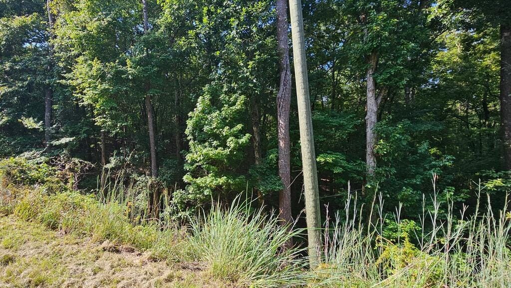 1050 Smith Rd, Fortson, GA 31808