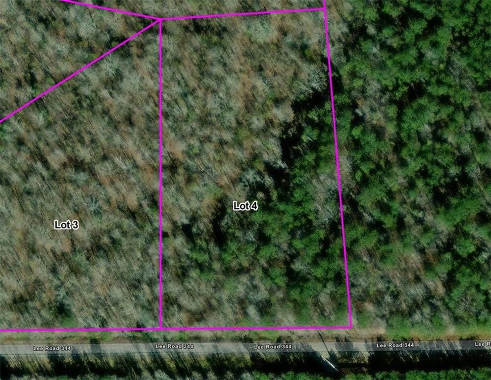 Lot 4 LEE ROAD 344, Salem, AL, 36874