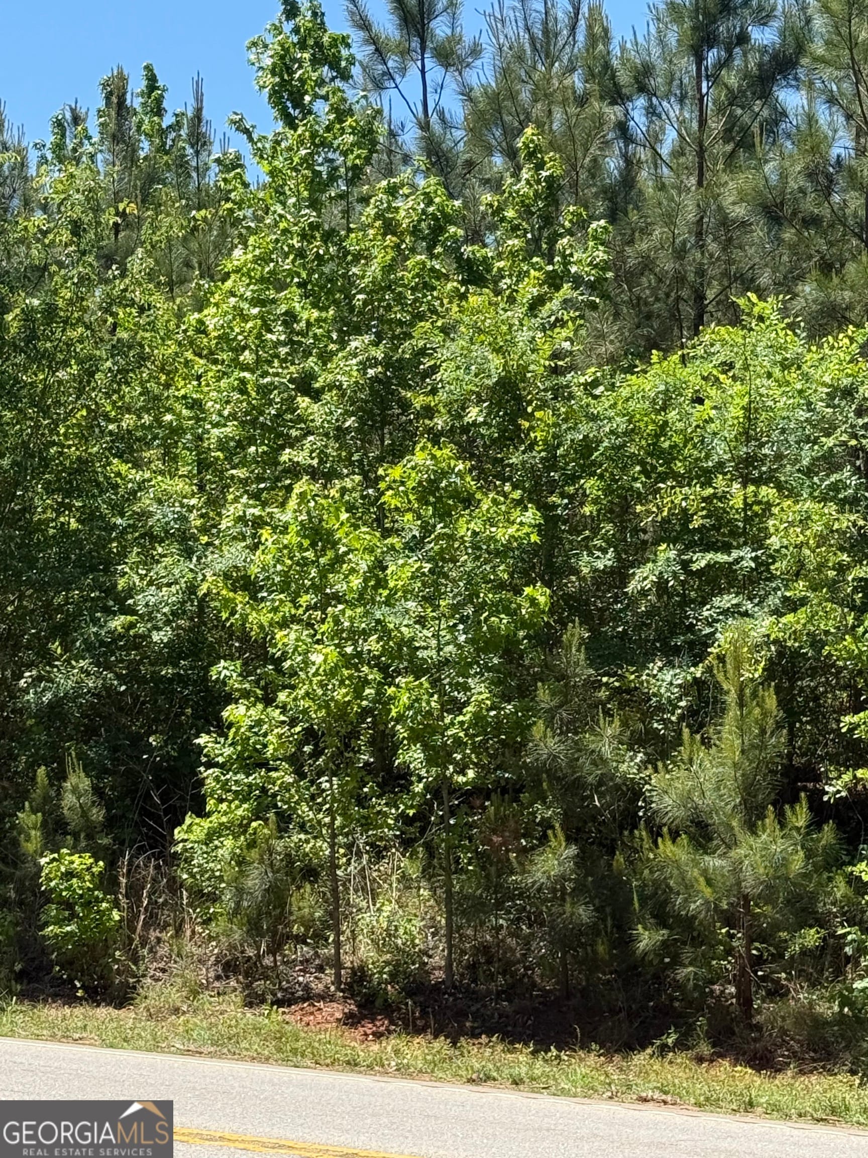 10 ACRES Woodbury Hwy, Greenville, GA, 30222
