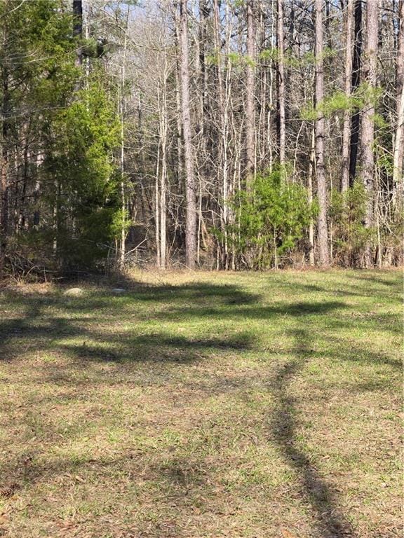 1398 Lee Road 45, Opelika, AL, 36804