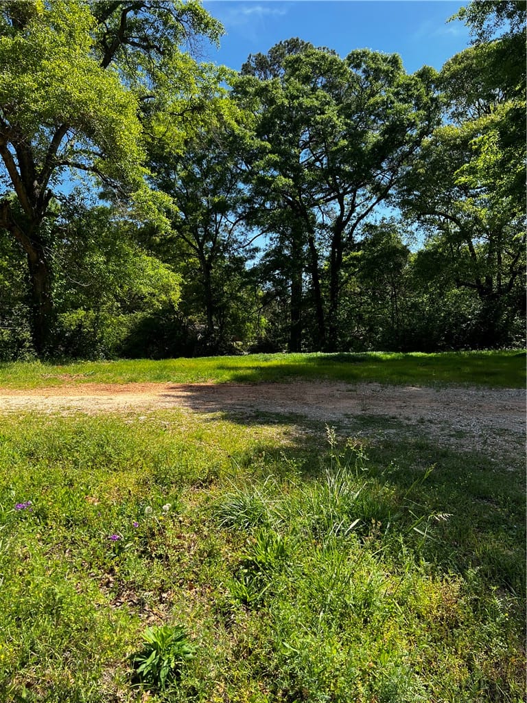 7281 20th Avenue, Valley, AL, 36854 — Photo 3