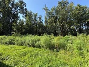 0 Sunnylane Drive, Smiths Station, AL, 36877 — Photo 3