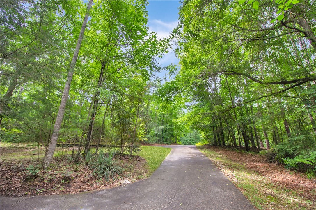 2668 Wire Rd, Auburn, AL 36832, A tranquil asphalt drive winds through lush, matur