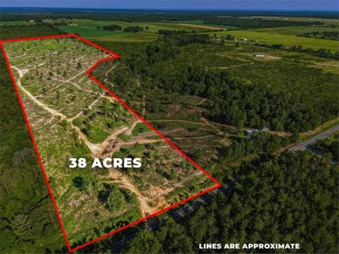38 ACRES Ga Highway 0240 Conn, Mauk, GA, 31058