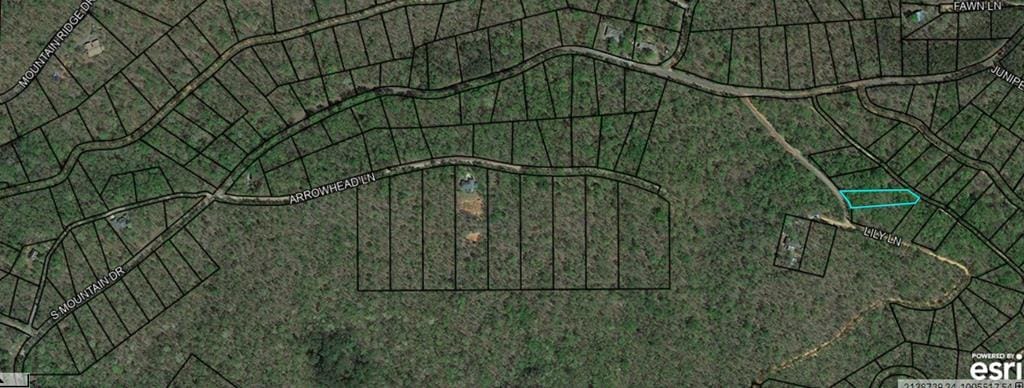 BLK 43 LOT 03 Lilly Lane, Waverly Hall, GA, 31831