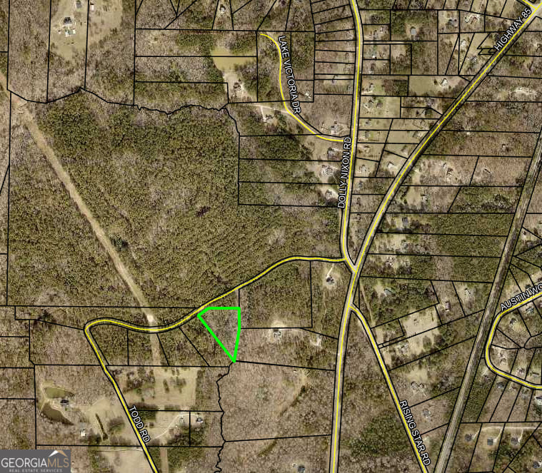 1 Todd Road, Senoia, GA, 30276