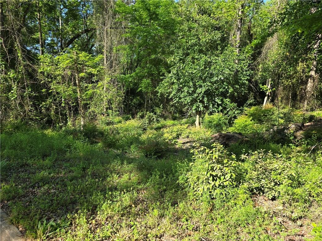 Country Club Rd, Eufaula, AL 36027