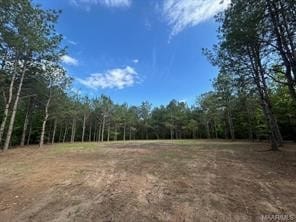 00 Friendship, Tallassee, AL, 36078