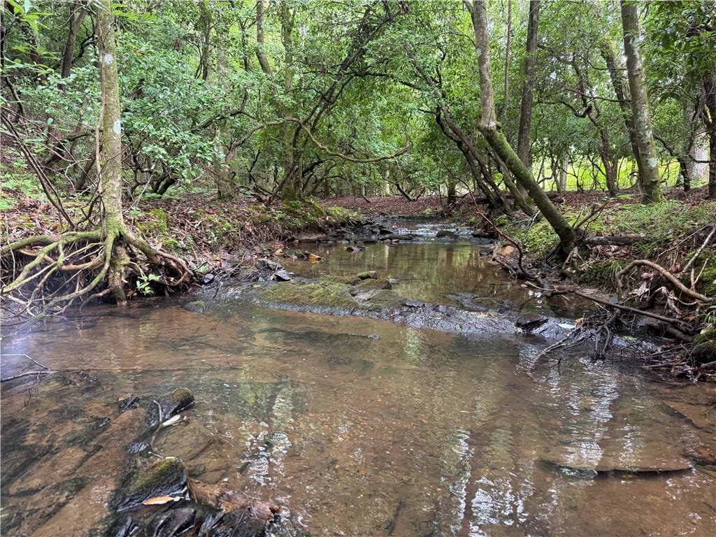 00 LINDSEY, Eclectic, AL, 36024, A tranquil stream meanders through a lush, verdant