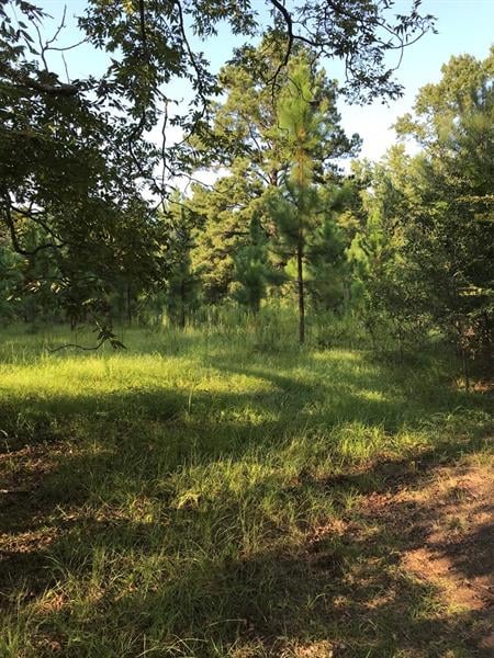 0 Lee Road 243, Smiths Station, AL 36877
