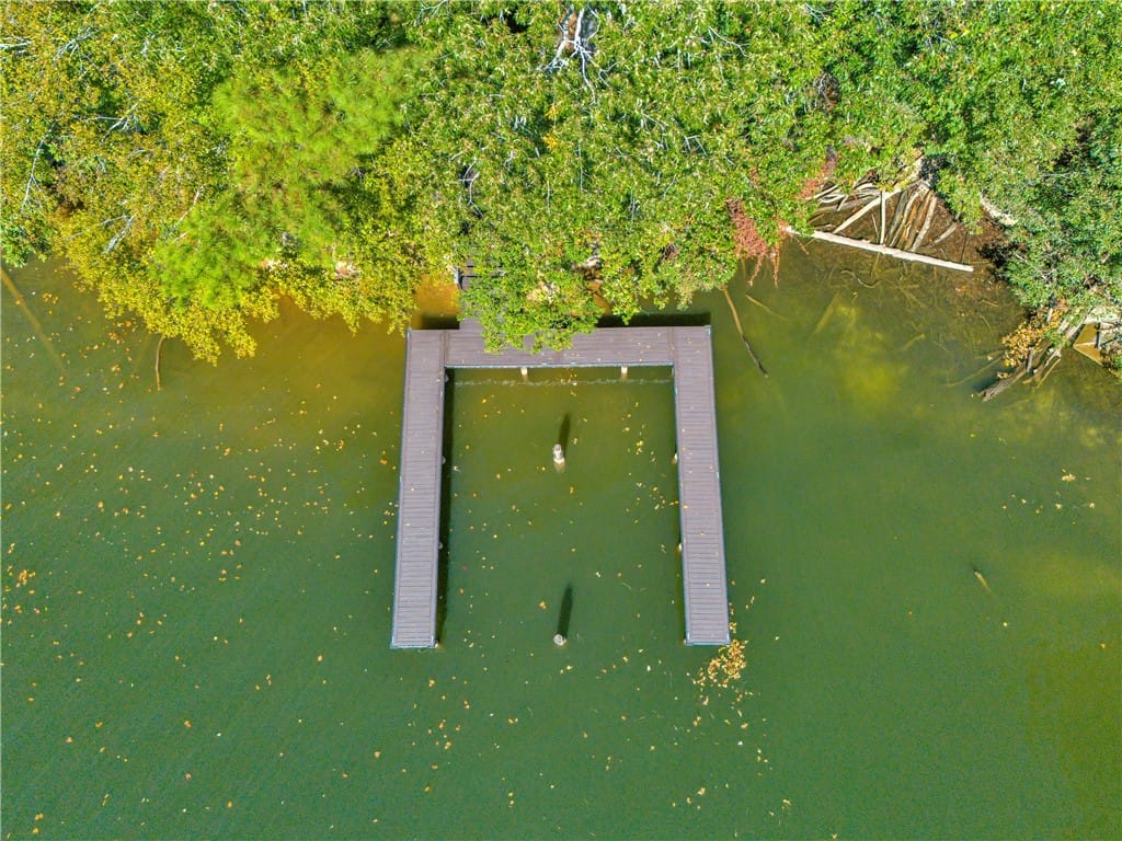 543 Elks Pkwy, Alexander City, AL 35010, This aerial view showcases a private dock extendin
