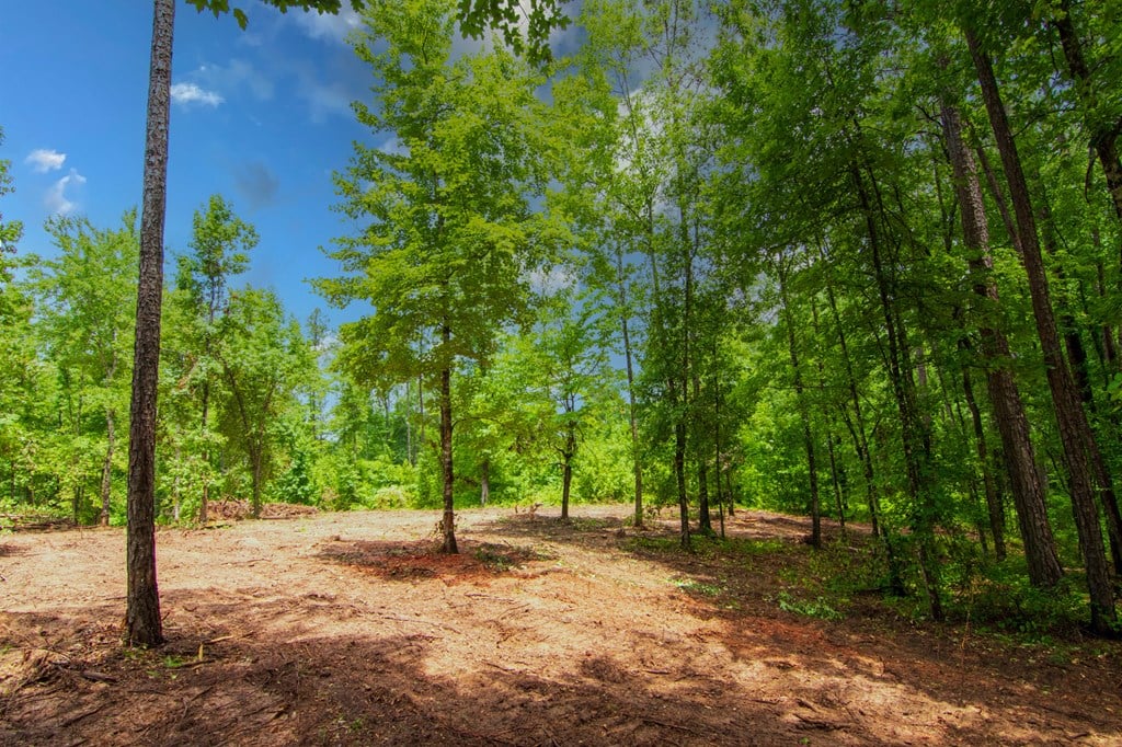 0 Morgan Copeland Road, Hamilton, GA, 31811