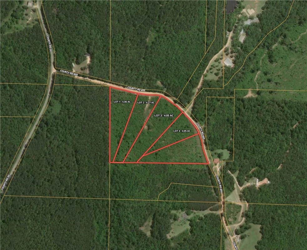 0 County Road 655 #lot1, Roanoke, AL, 36274