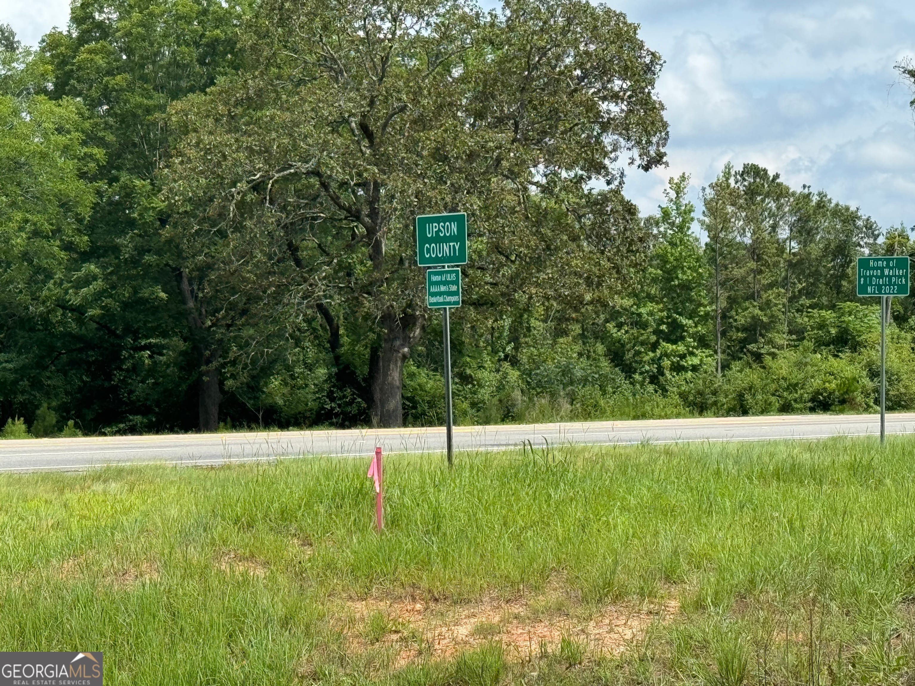 3854 US-19, Meansville, GA 30256