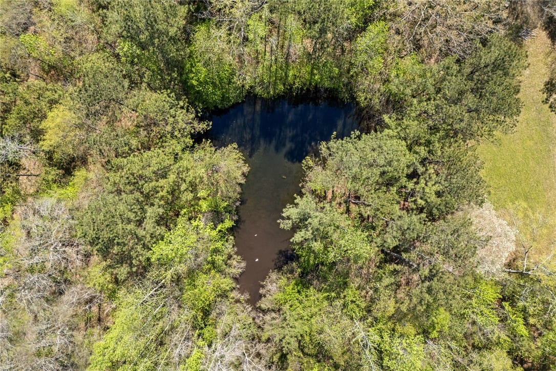 1398 LEE ROAD 45, Opelika, AL, 36804 — Photo 3