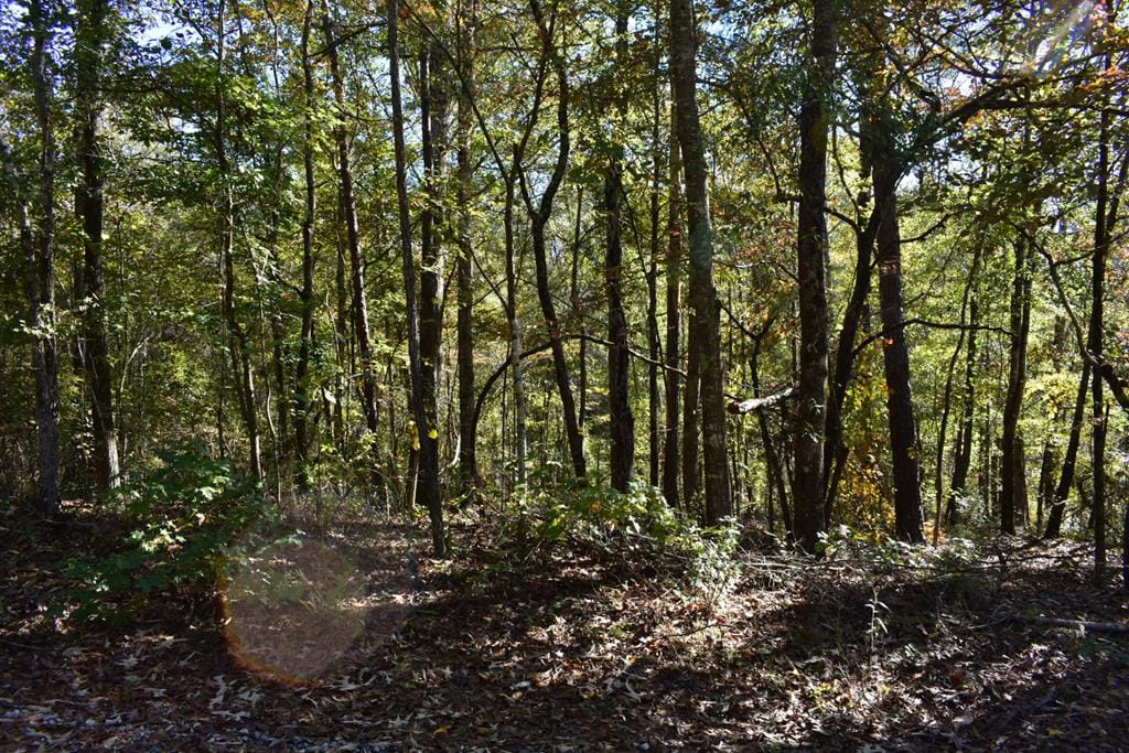 Lot 7B Mulberry Estates, Fortson, GA, 31808