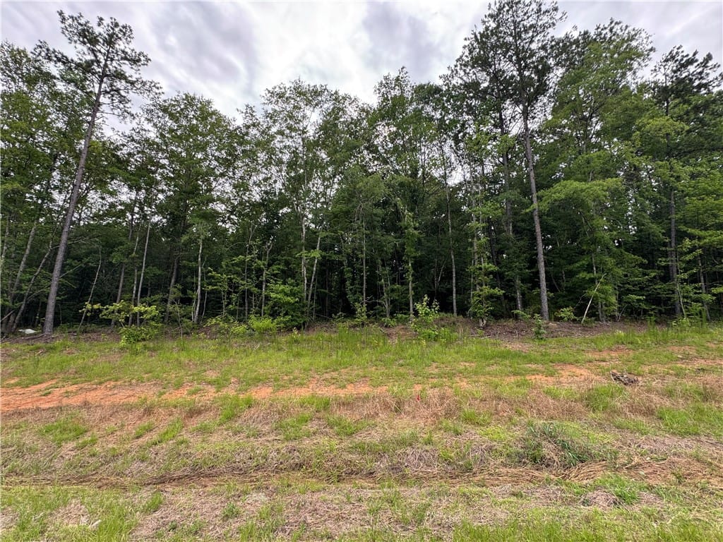 2681 GREENBRIAR, Auburn, AL, 36879