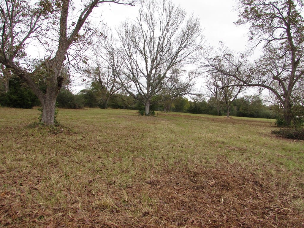 0000 Chancey Mill Road, Blakely, GA, 39823 — Photo 3