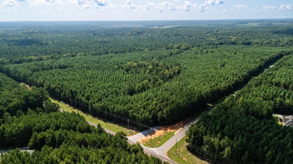 0 Fortune Hole Rd E, Hamilton, GA 31811