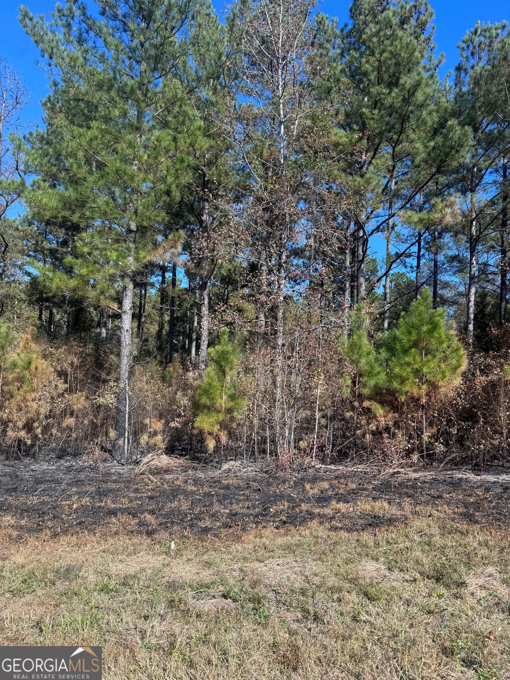 137 West Drummond Road, West Point, GA, 31833