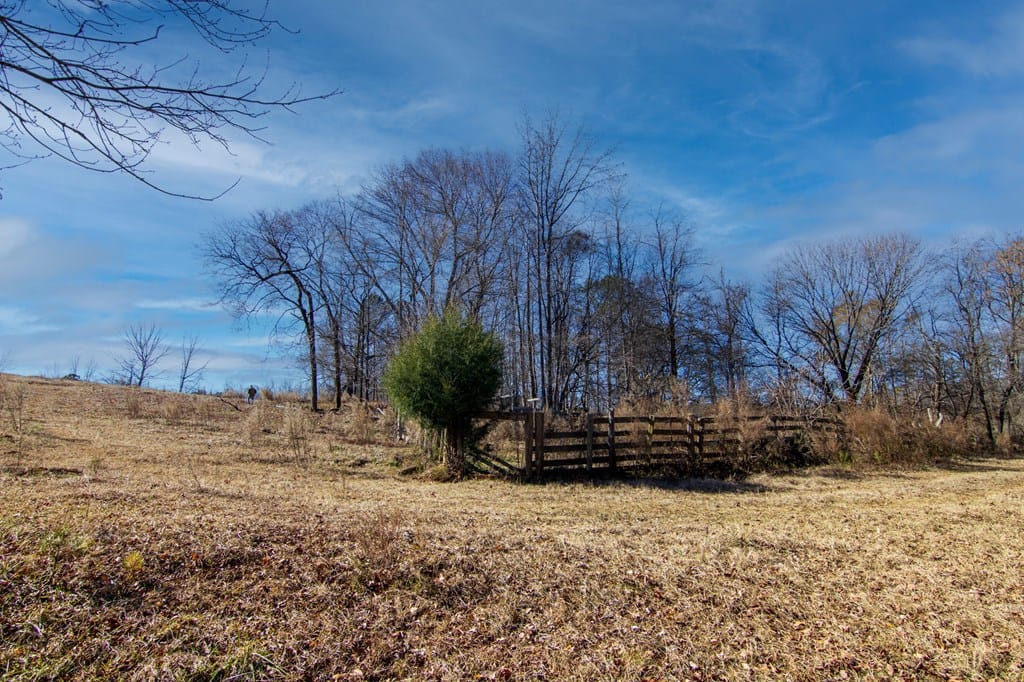 Tract 1 - 0 St. Paul Church Road, Shiloh, GA, 31826