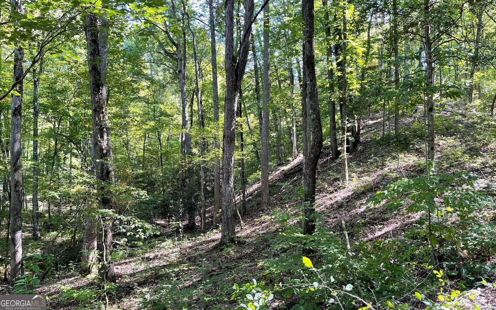 22 High Meadows Dr, Hayesville, NC 28904