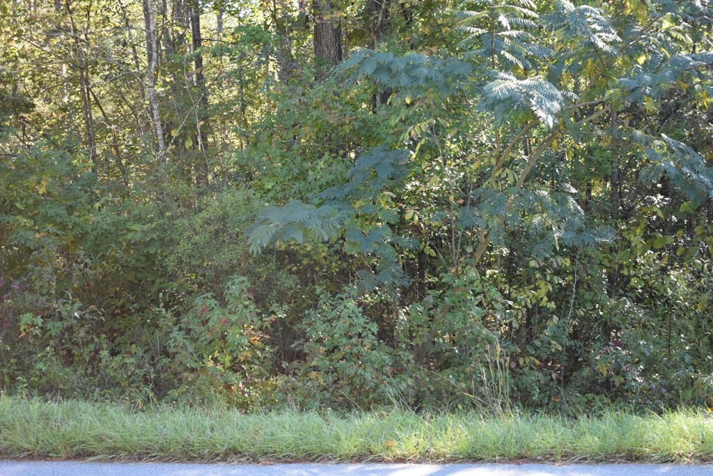 Lot 20 Satellite Circle, Fortson, GA, 31808 — Photo 3