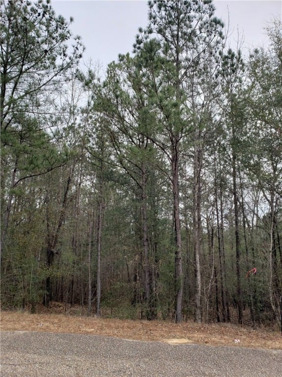 2793 County Road 27, Tuskegee, AL, 33683 — Photo 2