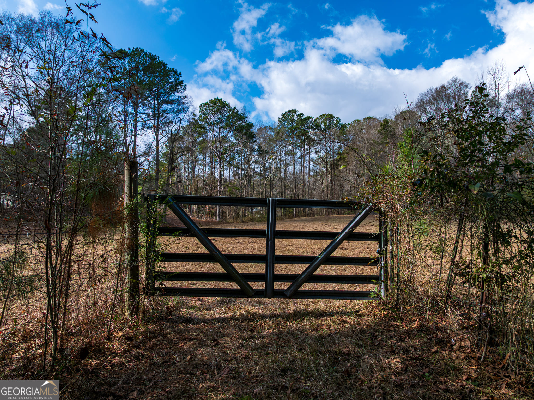 2.83 ACRES Williams, Shiloh, GA, 31826