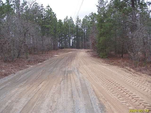 523 Black Creek Trail, Mauk, GA, 31058 — Photo 2