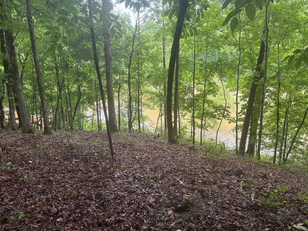 631 Lee Road 0889, Valley, AL, 36854