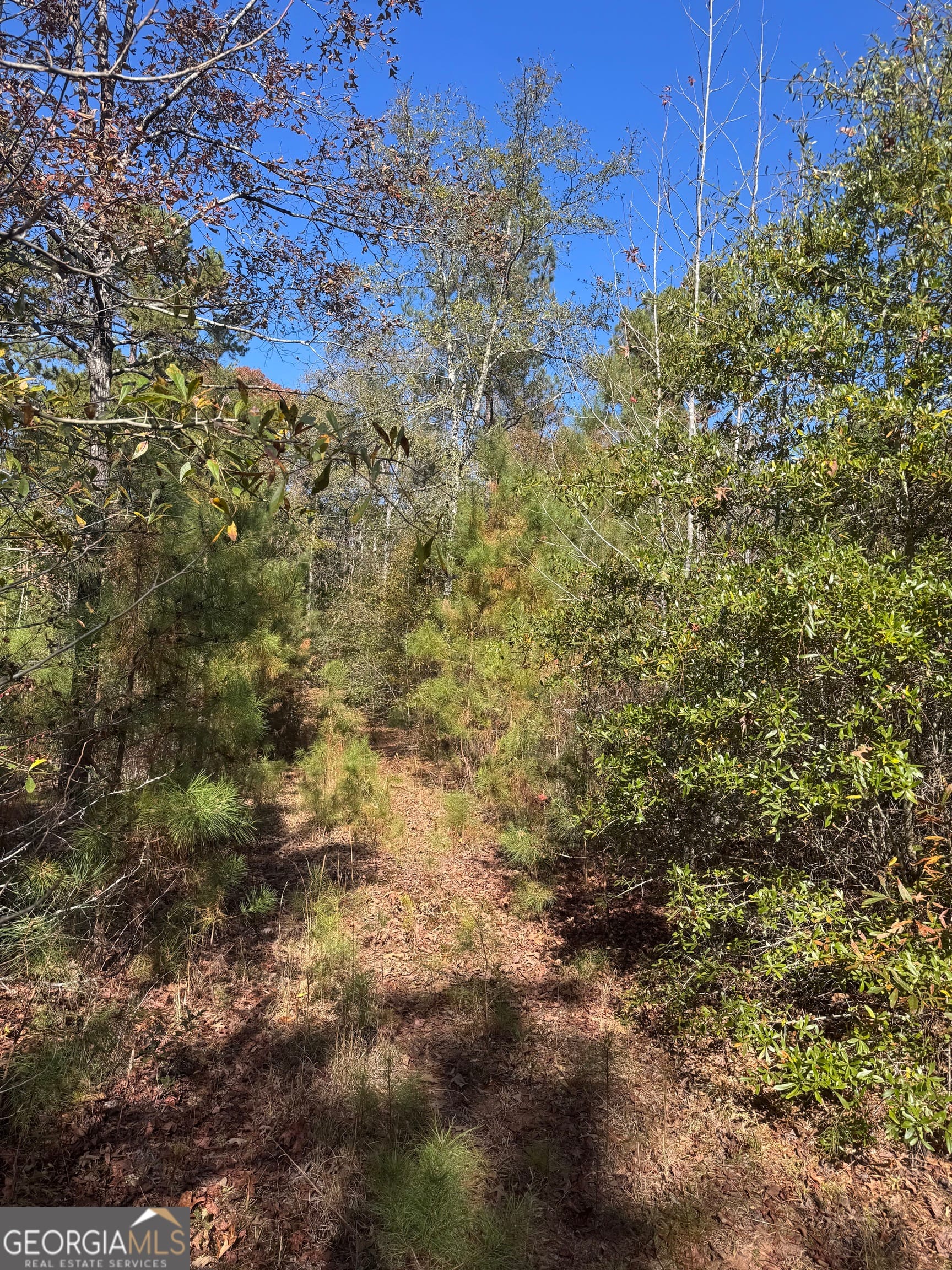 143 W Drummond Rd, West Point, GA 31833