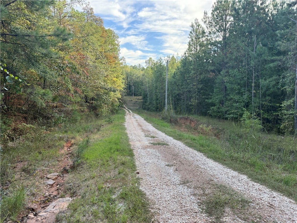 0 COUNTY ROAD 118, Rockford, AL, 35136