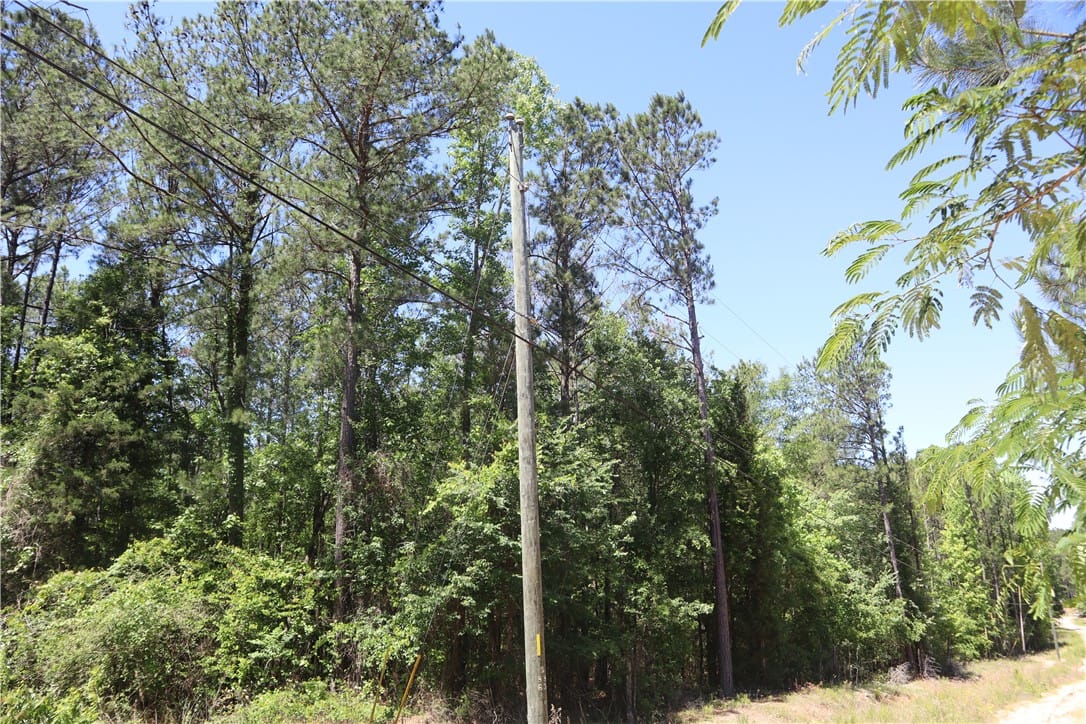 293-297 POWERLINE, Auburn, AL, 36831, This expansive lot is nestled amidst a lush, verda