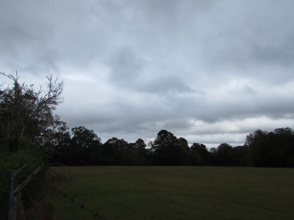 0000 Chancey Mill Road, Blakely, GA, 39823 — Photo 2