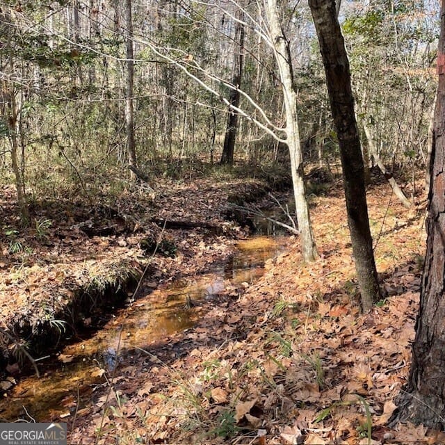 Pineville Rd, Buena Vista, GA