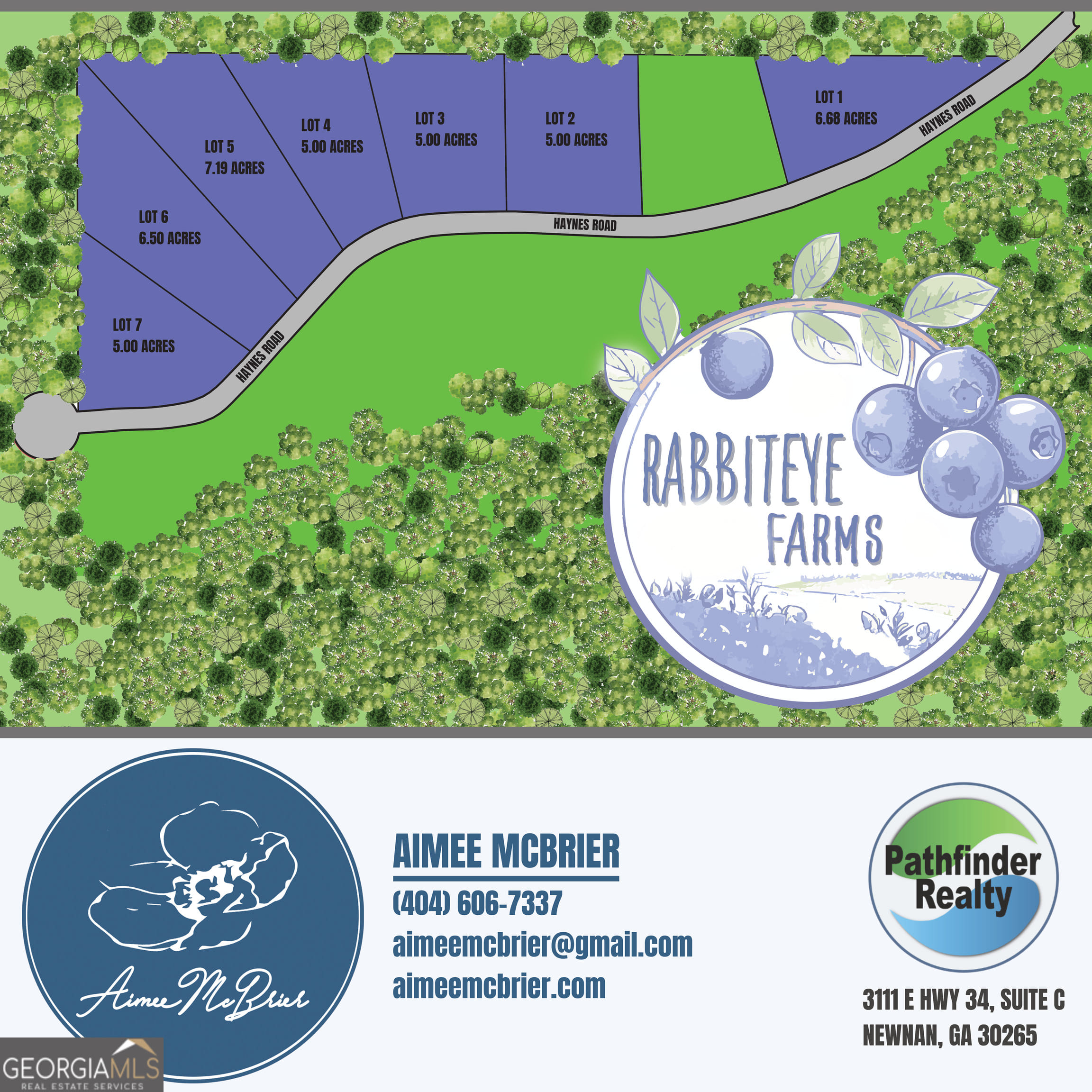 4 Haynes Road, Moreland, GA, 30259