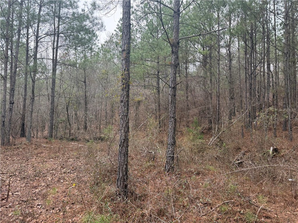 Address Not Disclosed, Verbena, AL, 36091