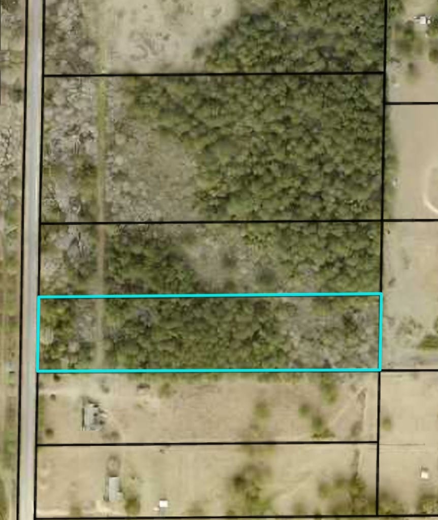 000 James Young Rd, Sylvester, GA, 31791 — Photo 2