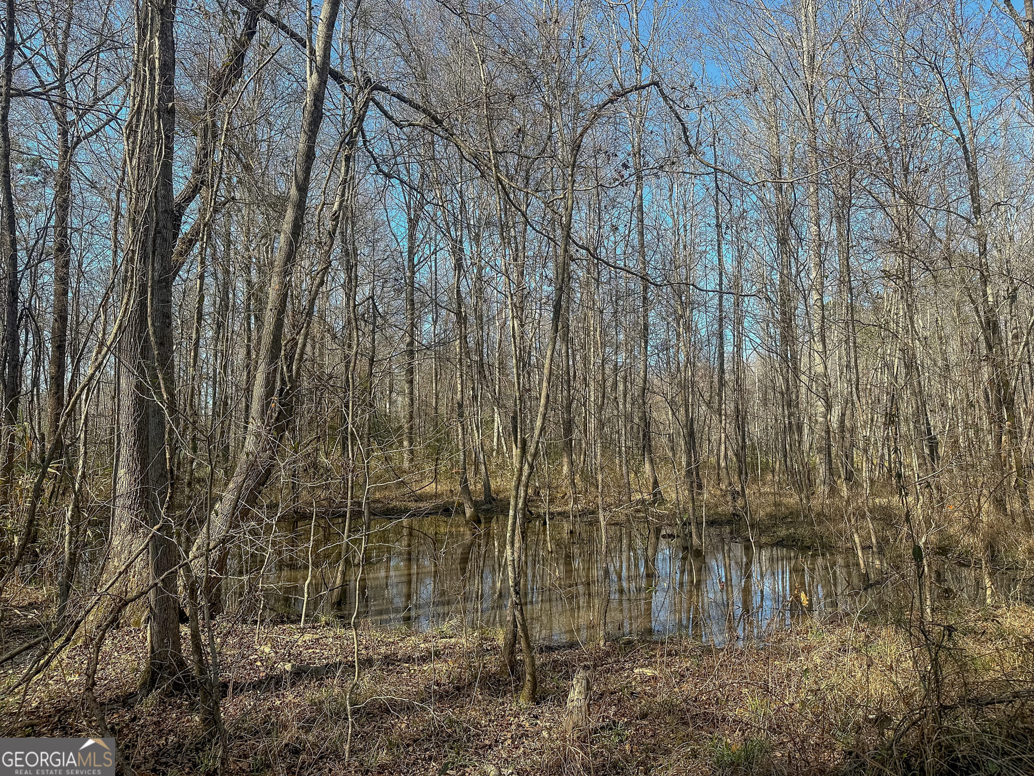 1298 Days, Morris, GA, 39867