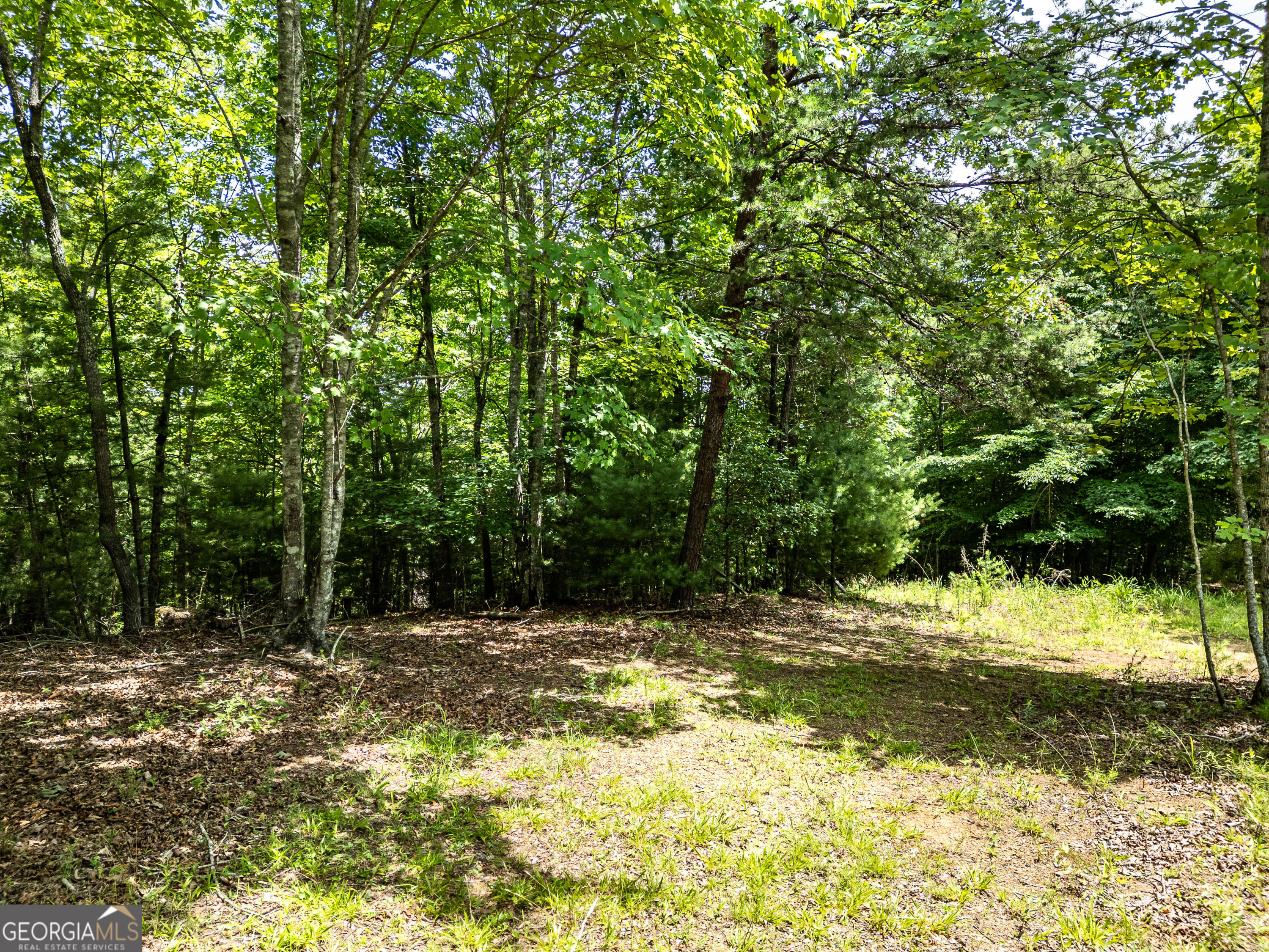 2 Stormy Ridge, Brasstown, NC 28902