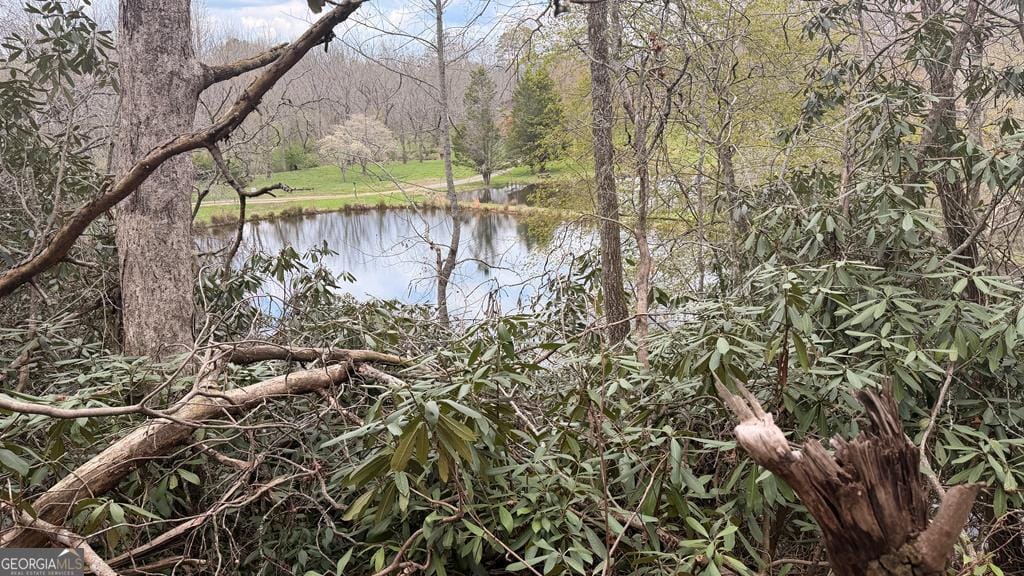 9 Mill Creek Drive, Hayesville, NC, 28904